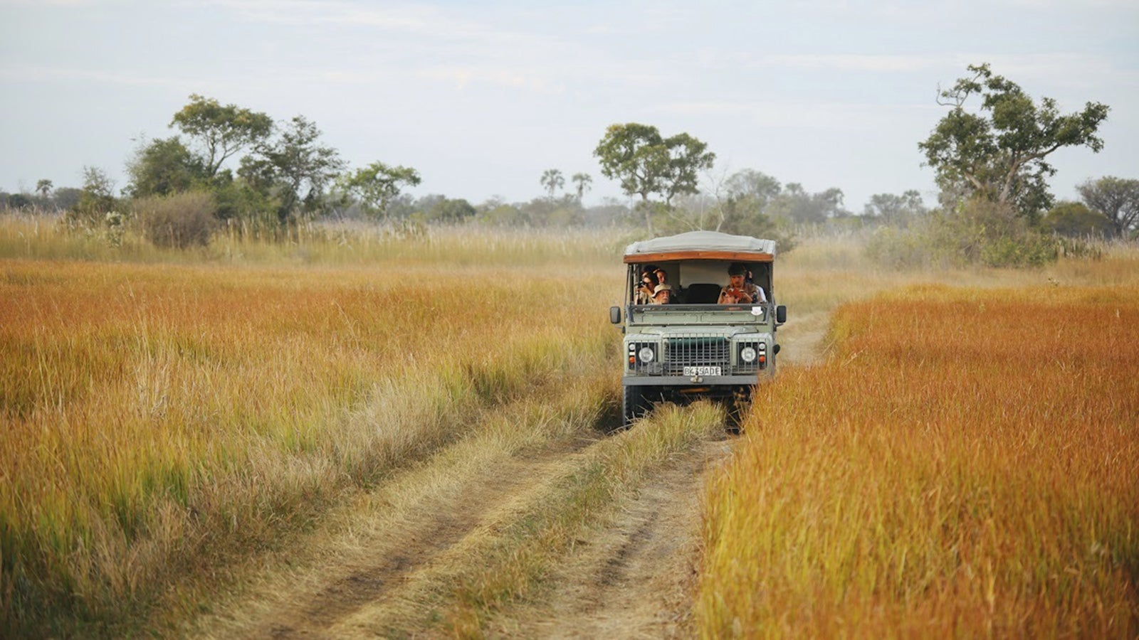Jeep driving through African Savannah
