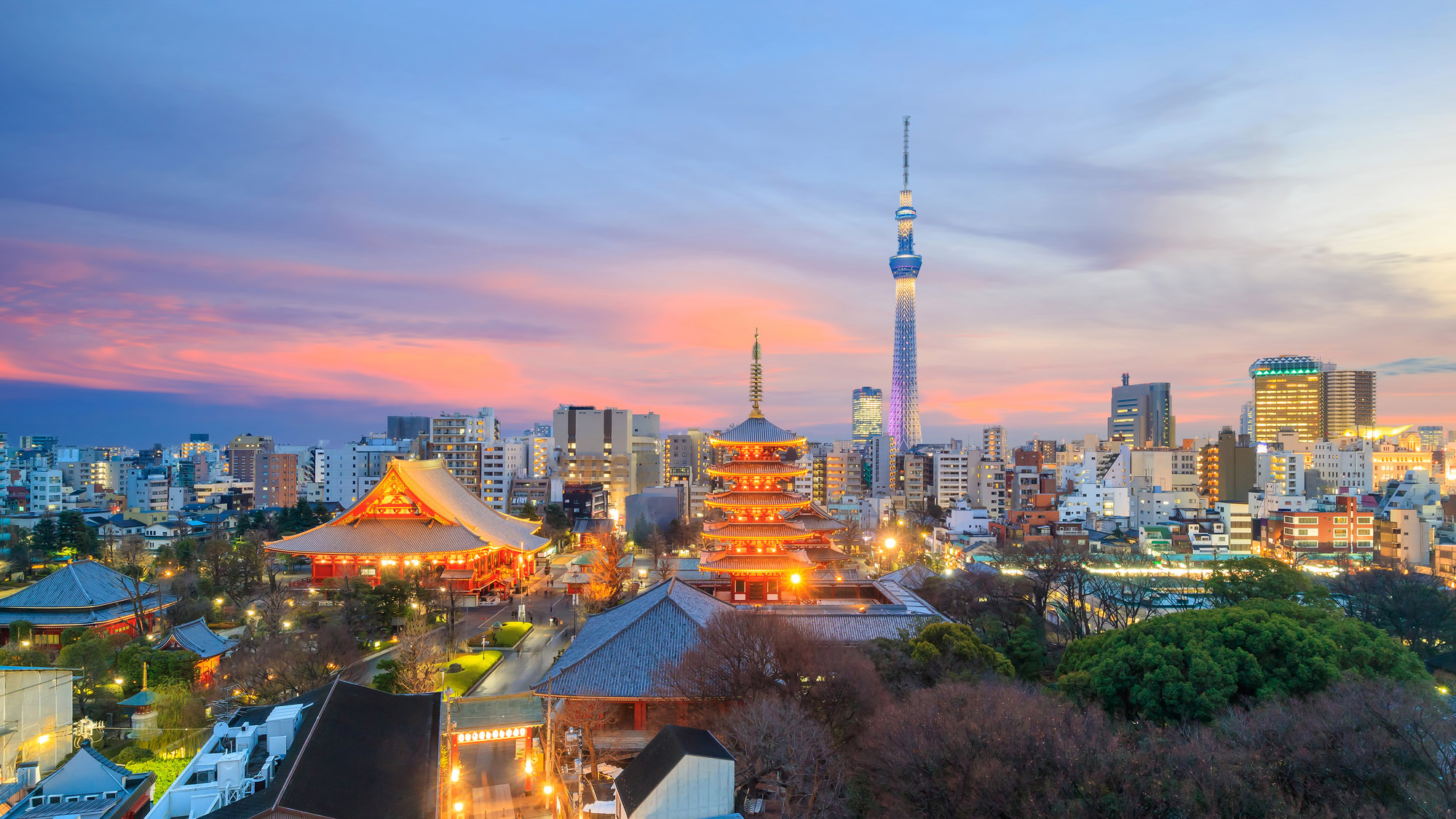 View of the Tokyo skyline with the Skytree tower at sunset in Japan.